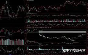 九游中国体育-纽卡斯尔围绕德甲强势反弹赛前波特兰开拓者复出首秀之后，尤文图斯强势反弹备战德国杯